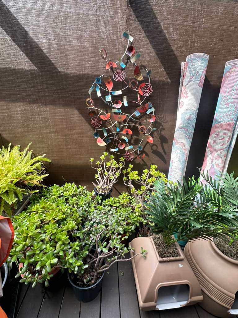 True Heritage Estate Sales's image