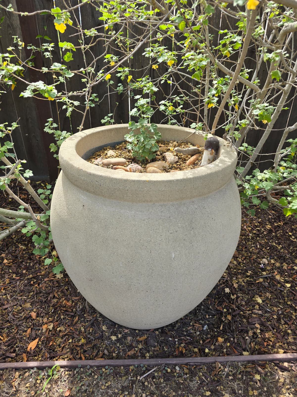 True Heritage Estate Sales's image
