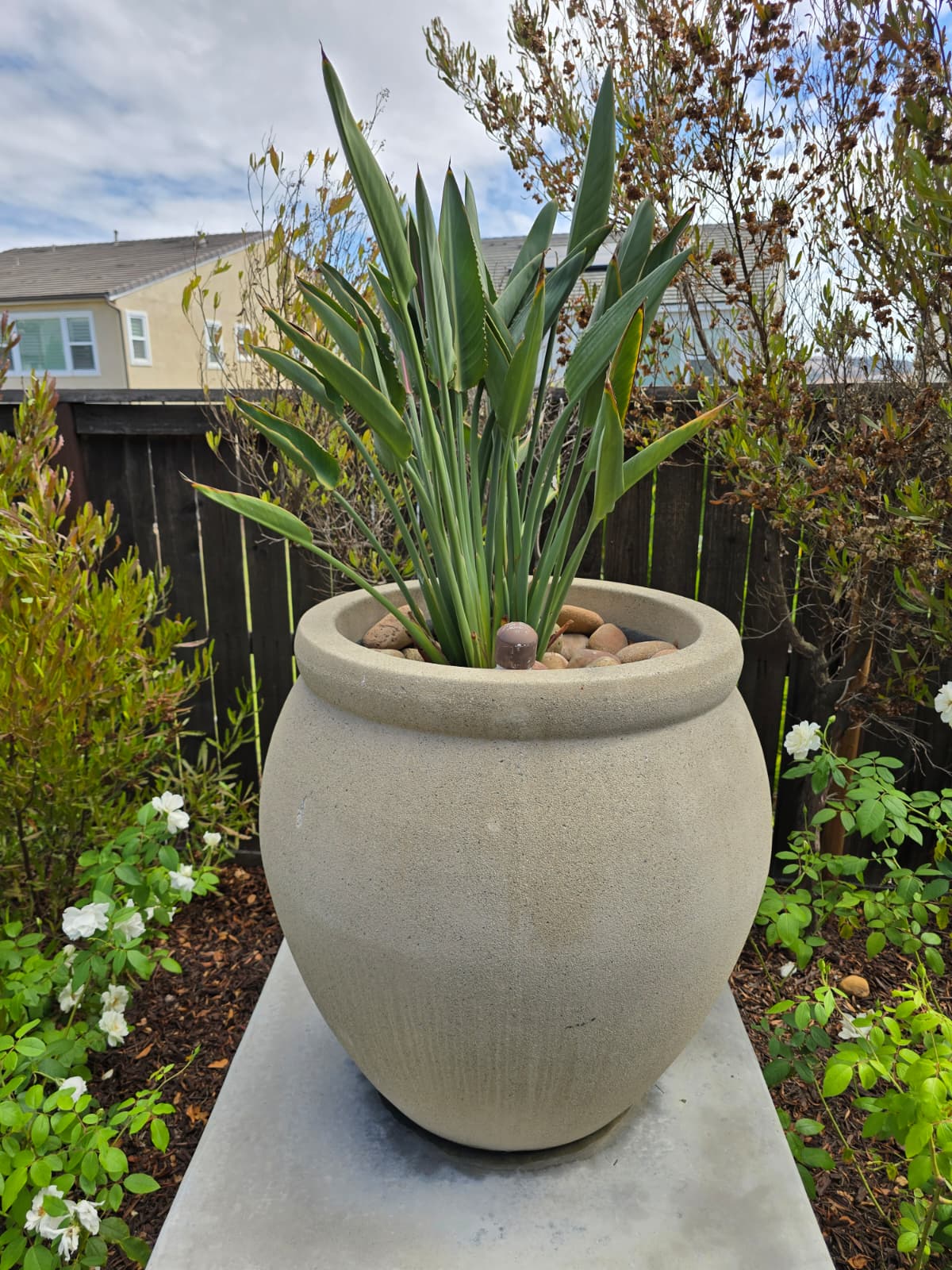 True Heritage Estate Sales's image