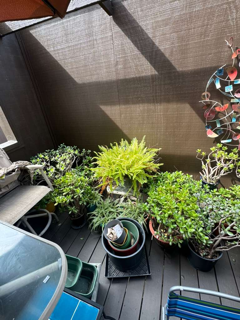 True Heritage Estate Sales's image