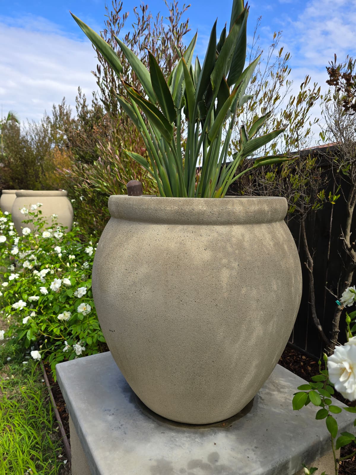 True Heritage Estate Sales's image