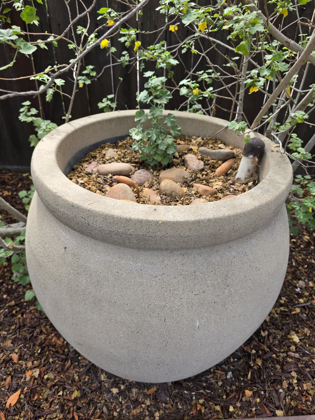 True Heritage Estate Sales's image