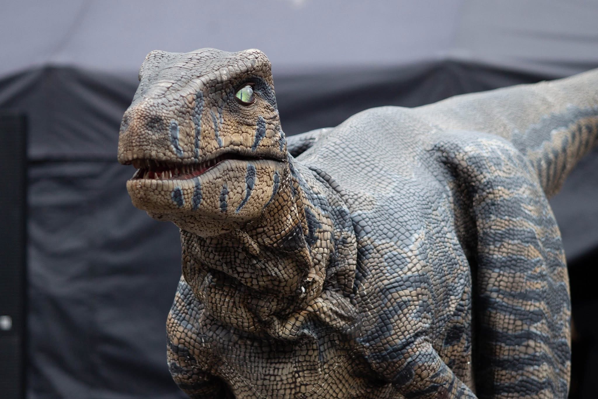 Entertainment House Uk's image