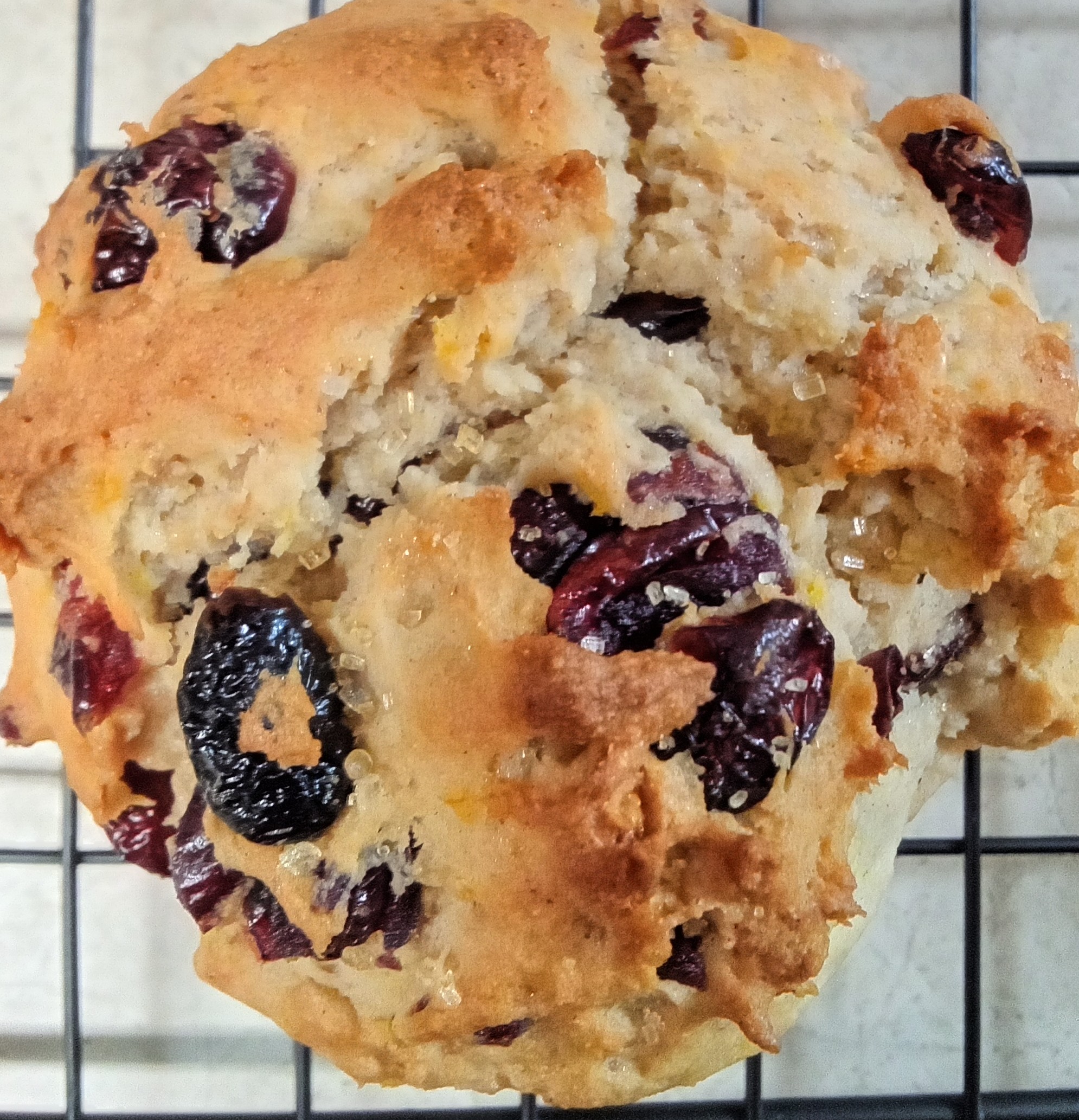 Cookie Haven's image