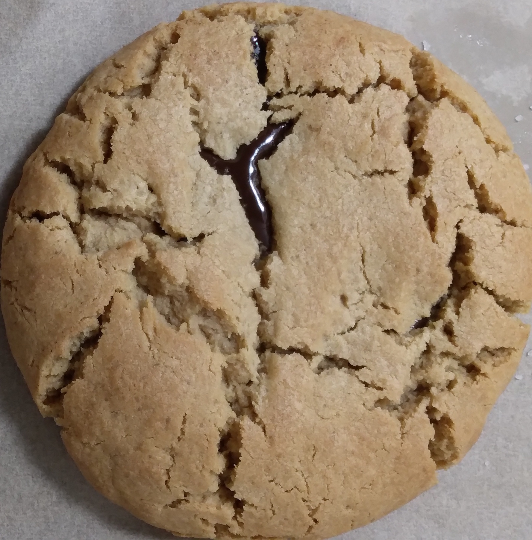 Cookie Haven's image