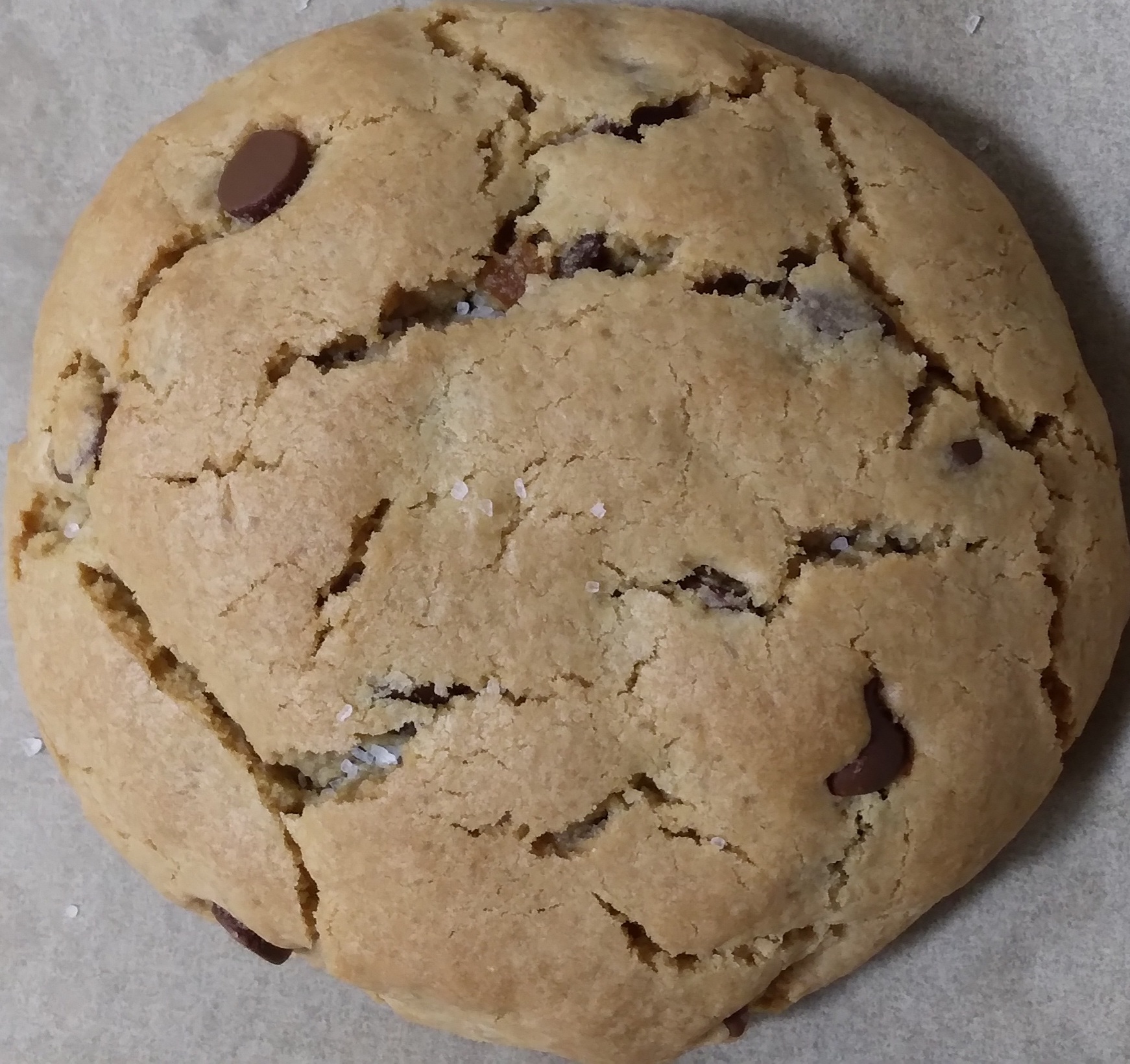 Cookie Haven's image