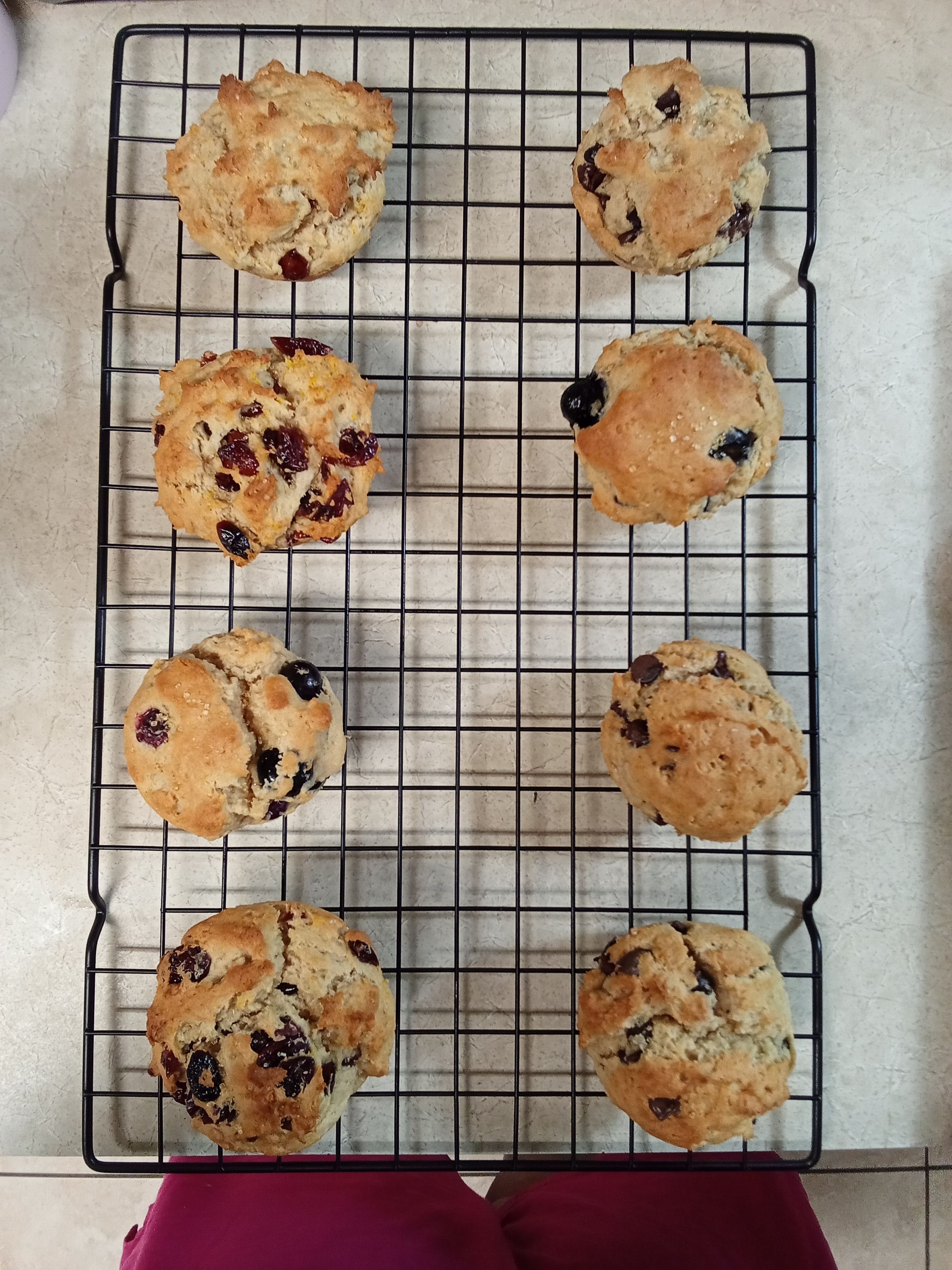 Cookie Haven's image