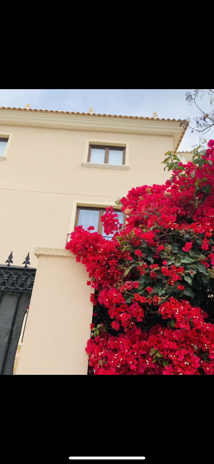 Scarlett Villas Costa Blanca's image