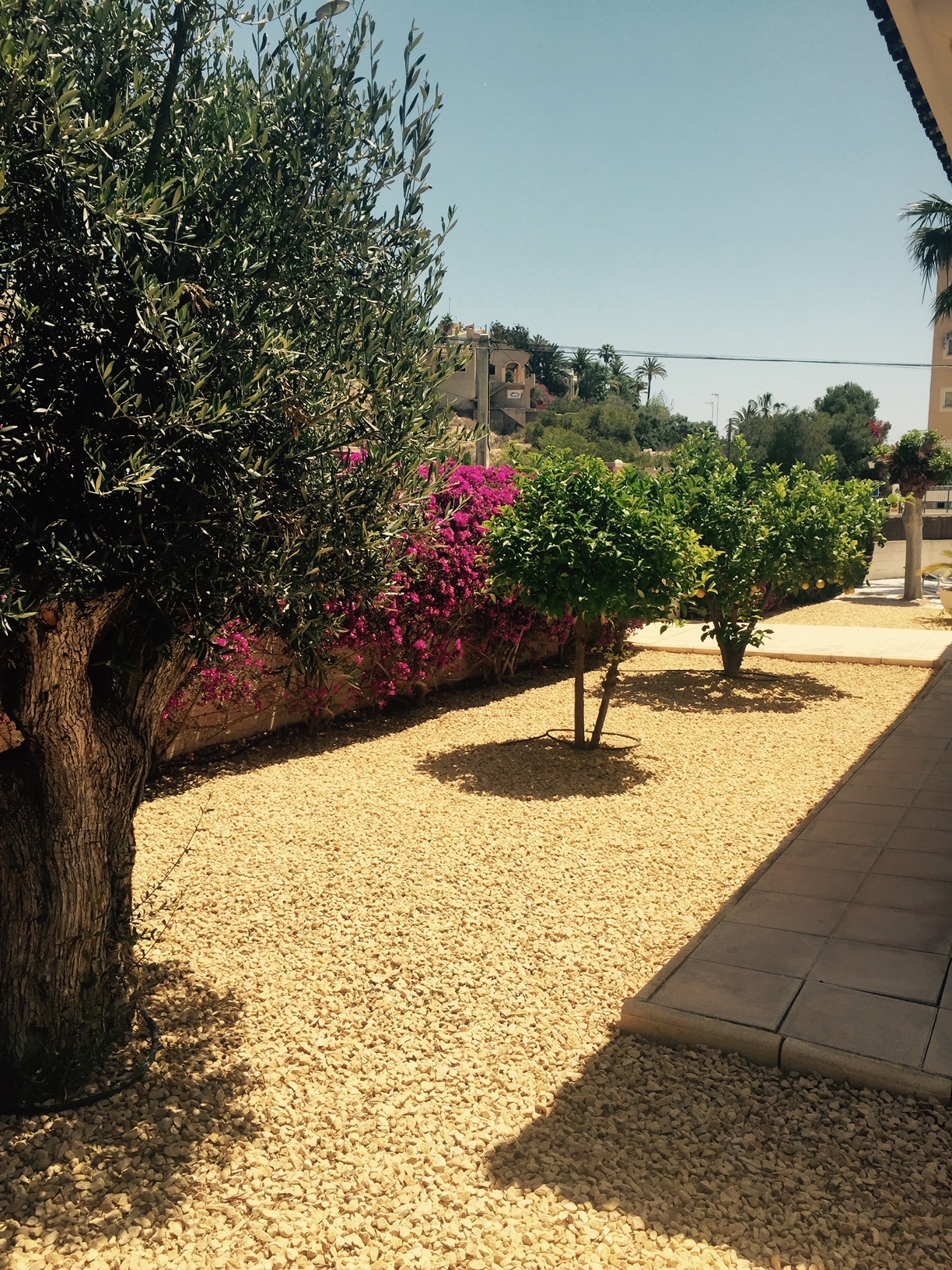 Scarlett Villas Costa Blanca's image