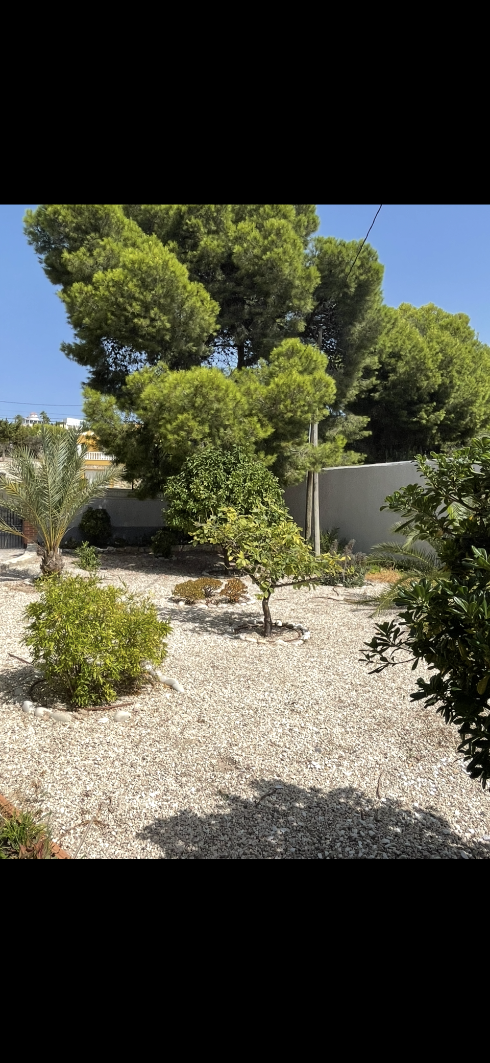 Scarlett Villas Costa Blanca's image