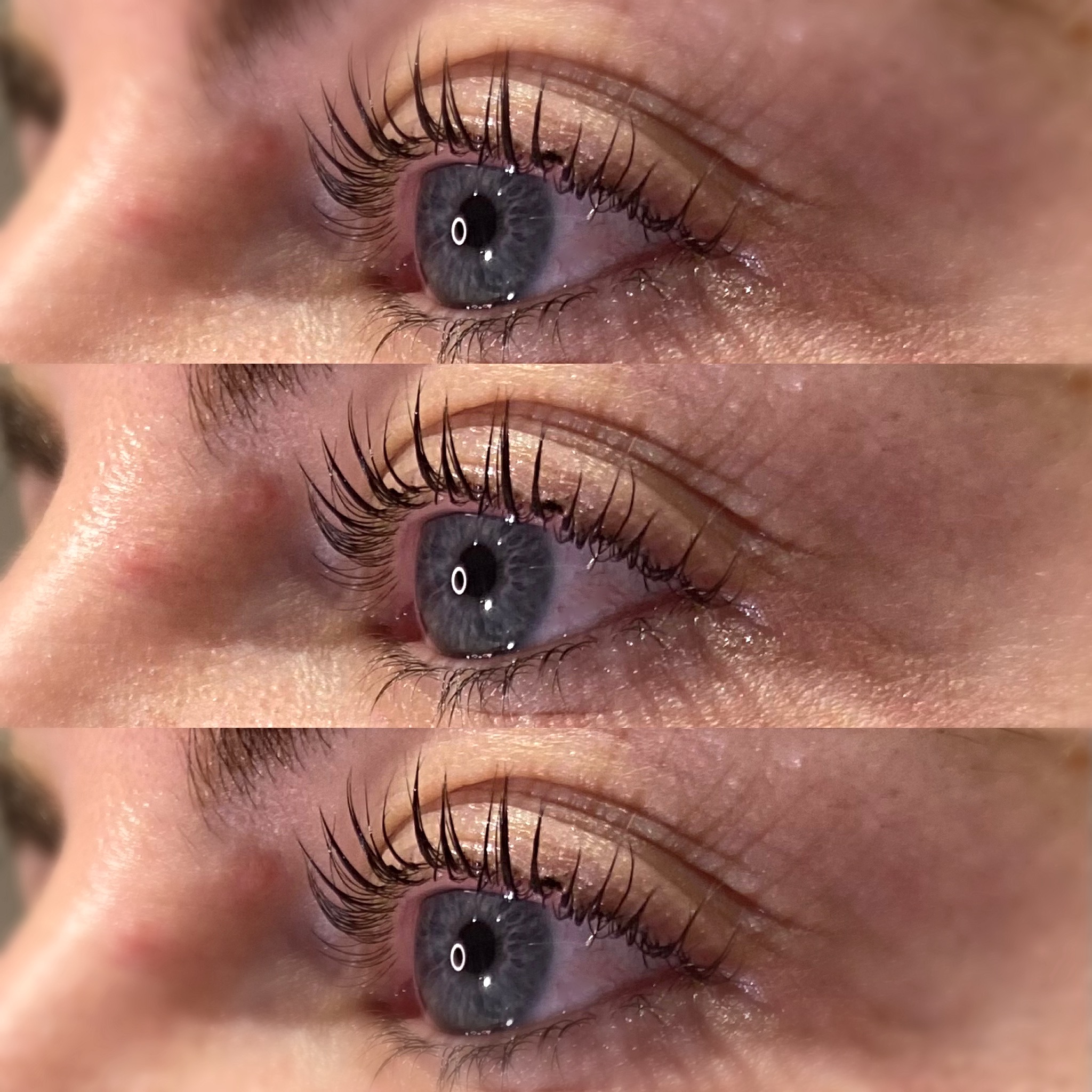 Lashes