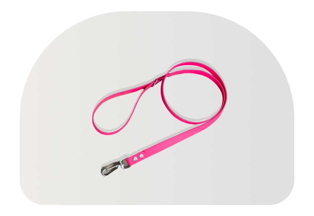 Pawsitivity 's image