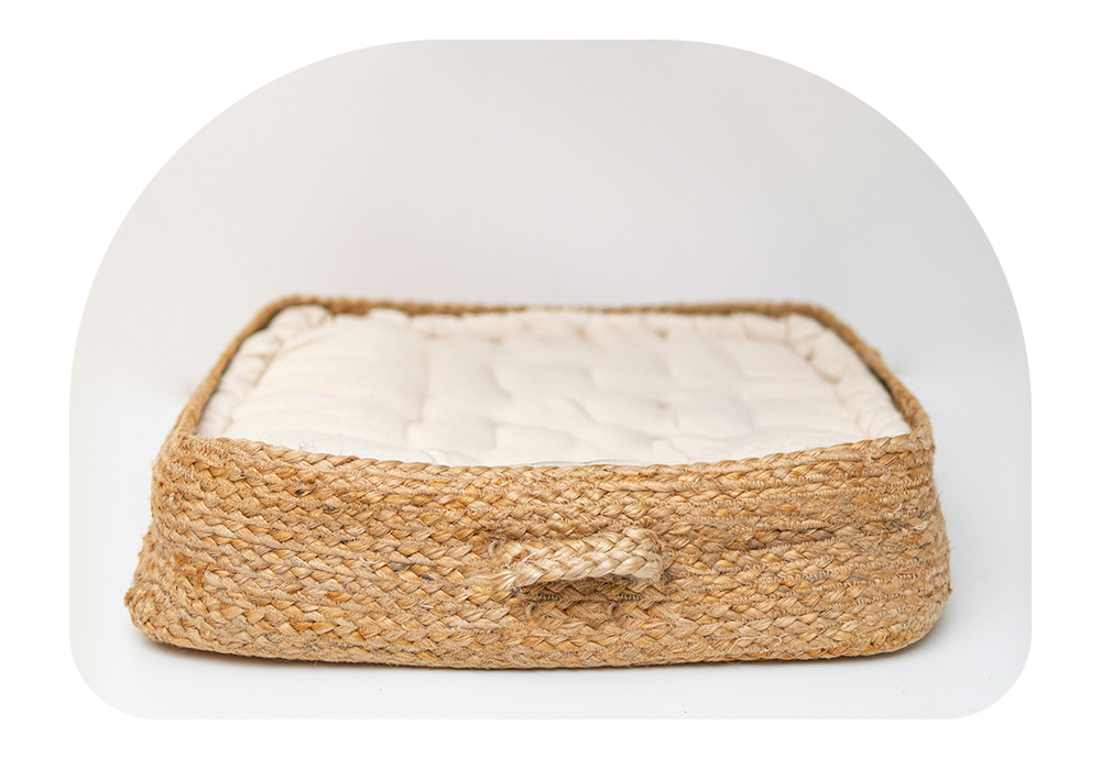 Pawsitivity 's image