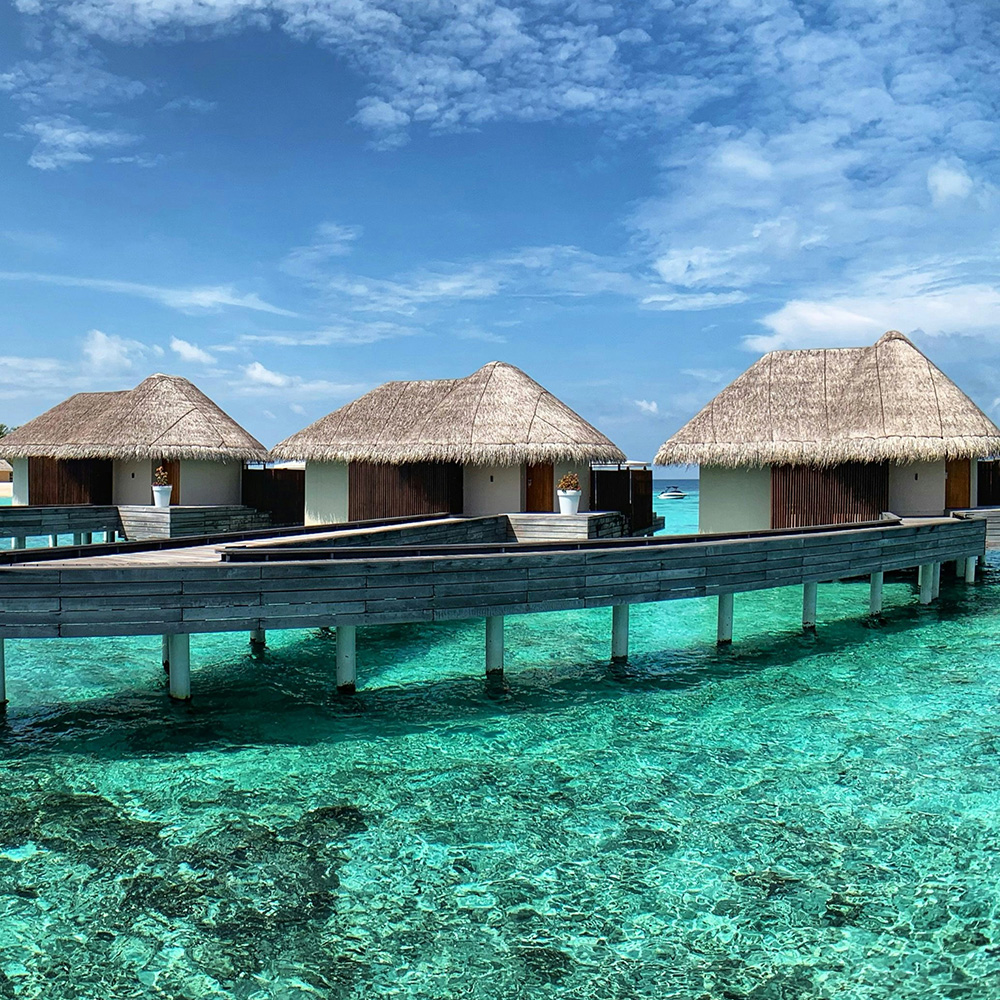 Luxury Travels Define LLC's image
