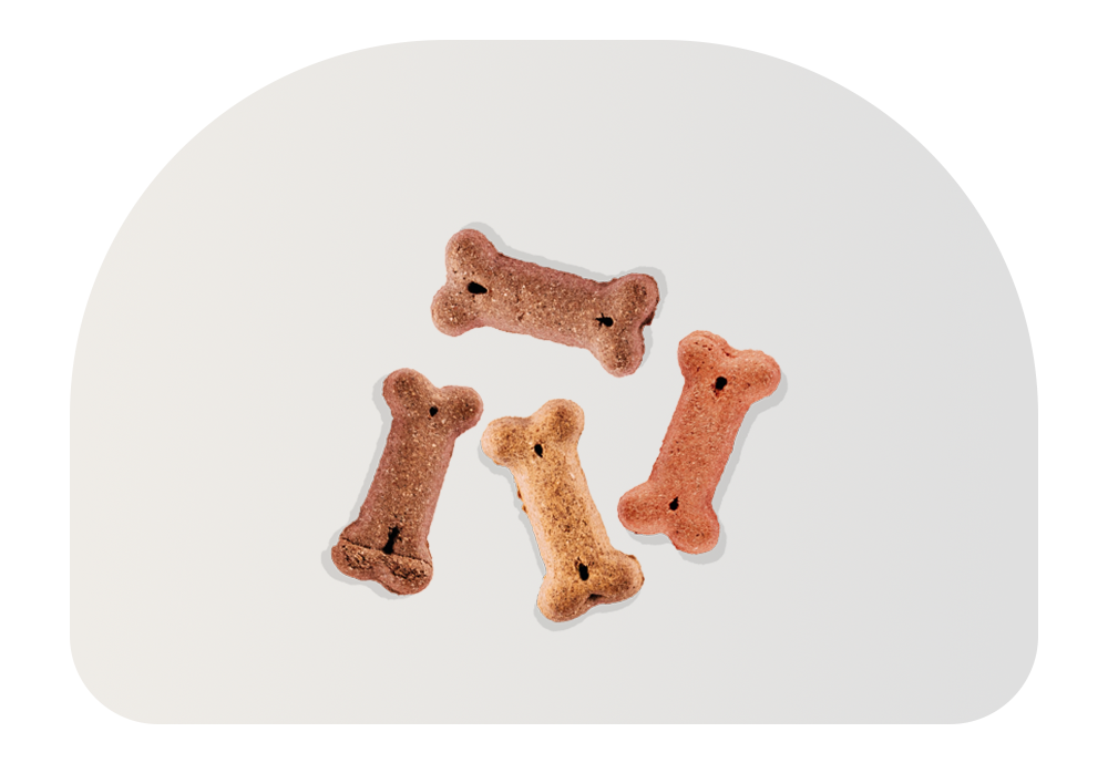 Pawsitivity 's image