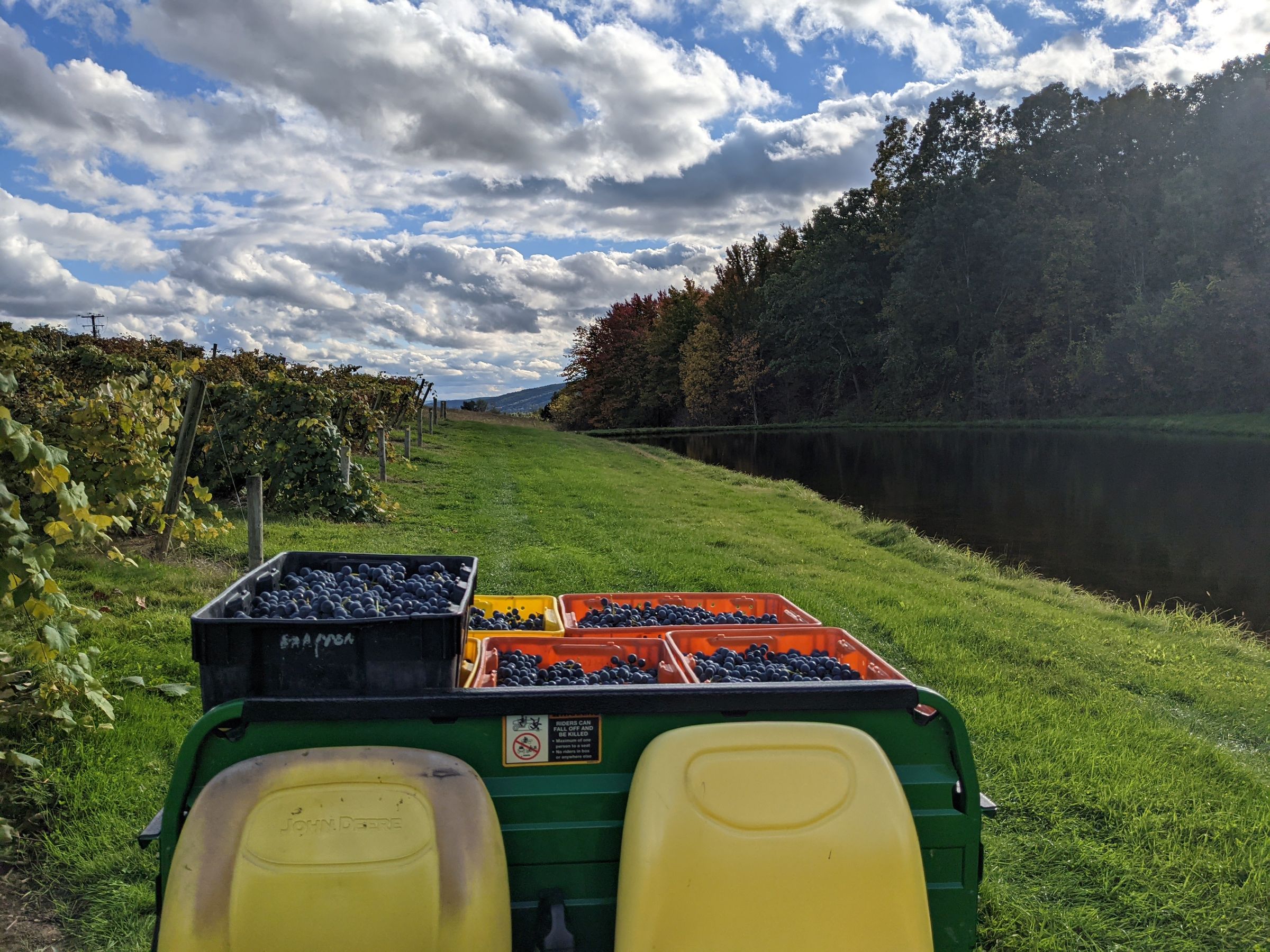 Rabbit Ridge Vineyard's image