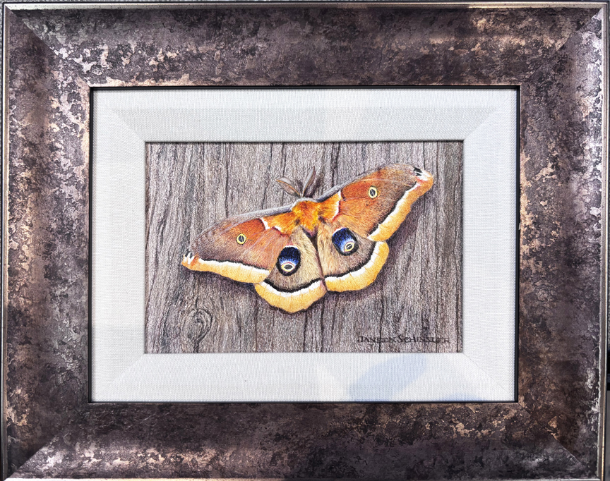 Watercolor Moth