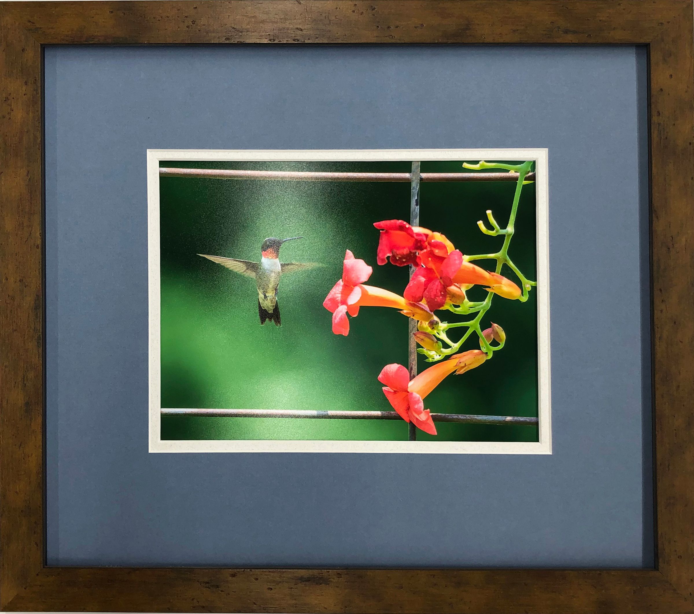 Photography Framing