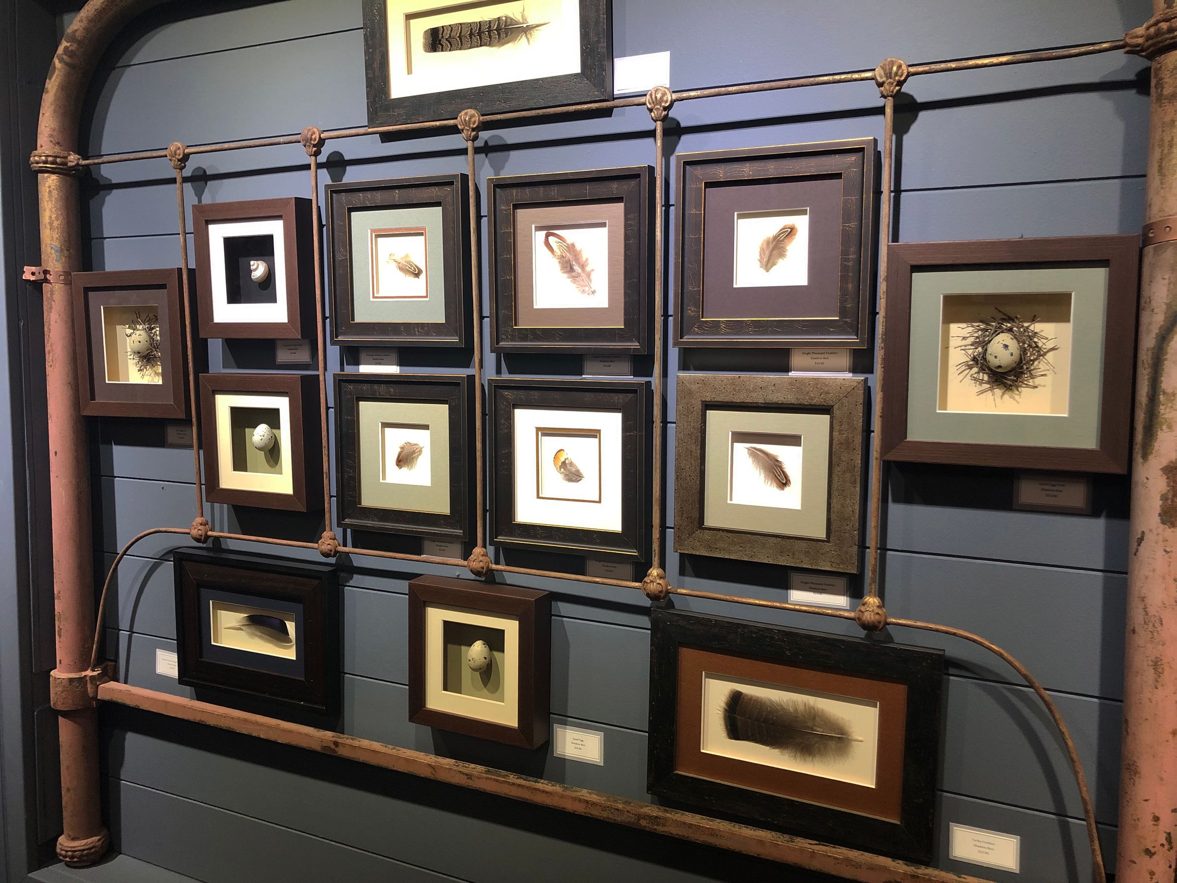 Forest & Field Gallery Wall