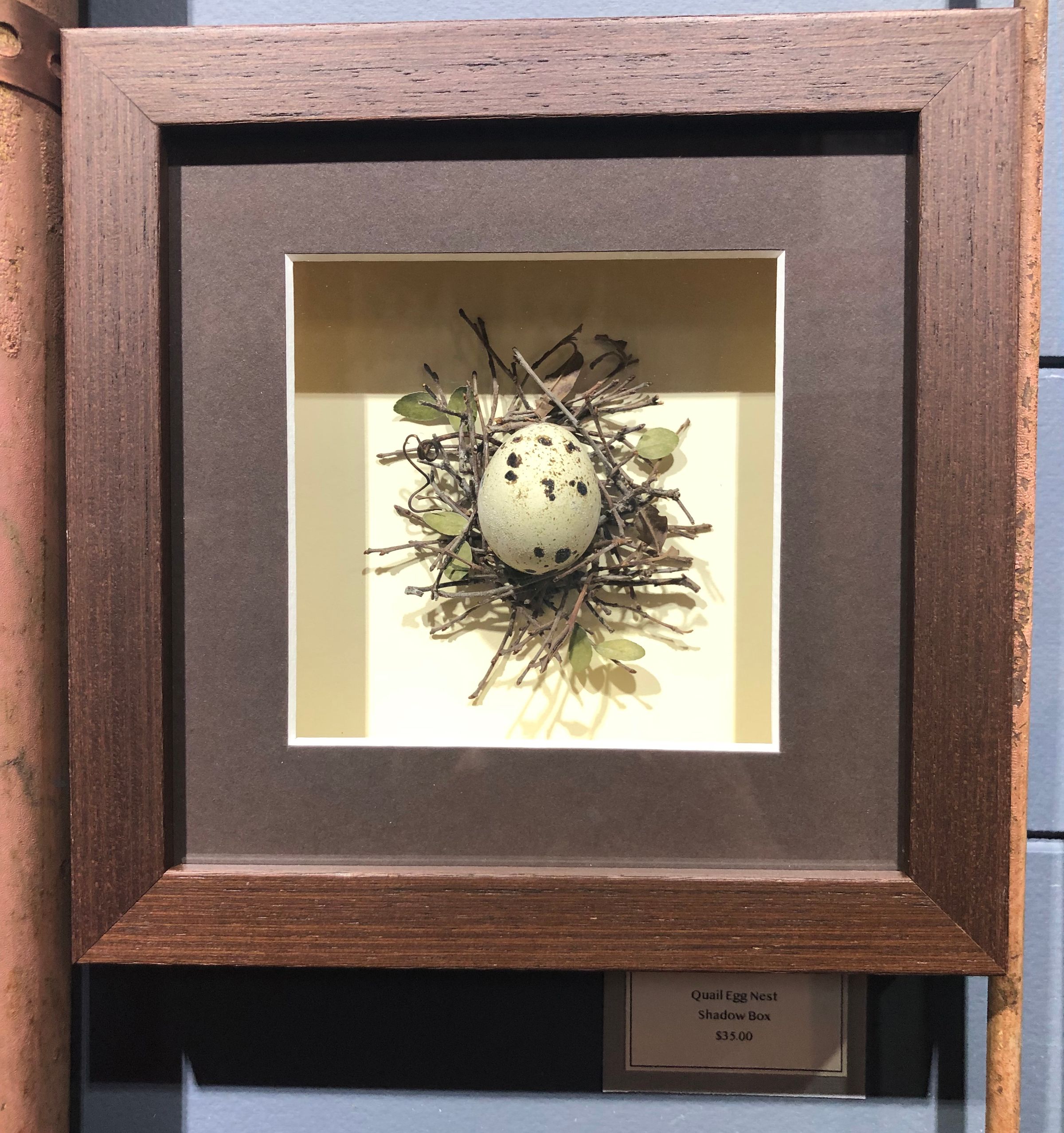 Quail Egg Nest Creation
