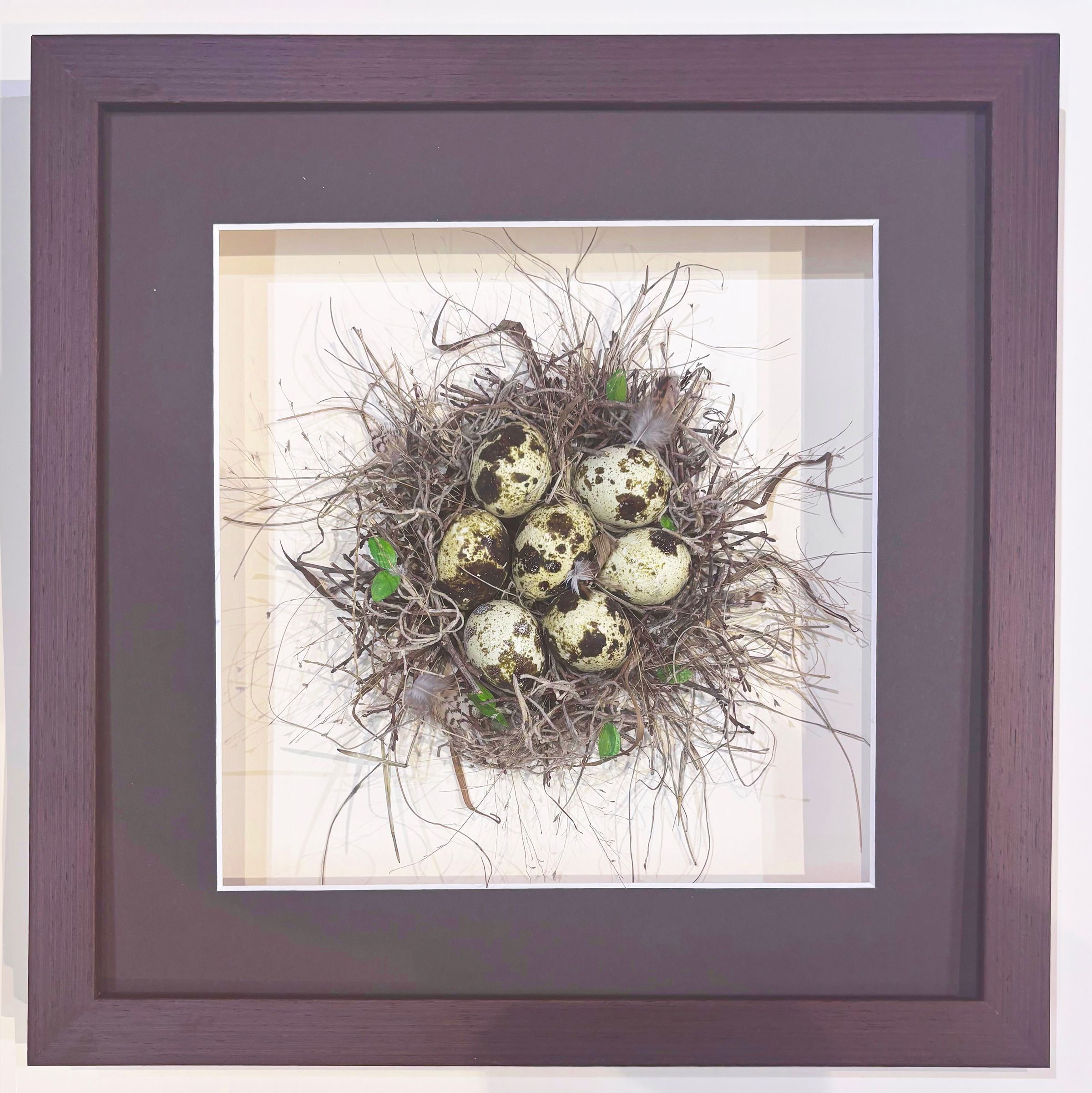 Nest Shadow Box