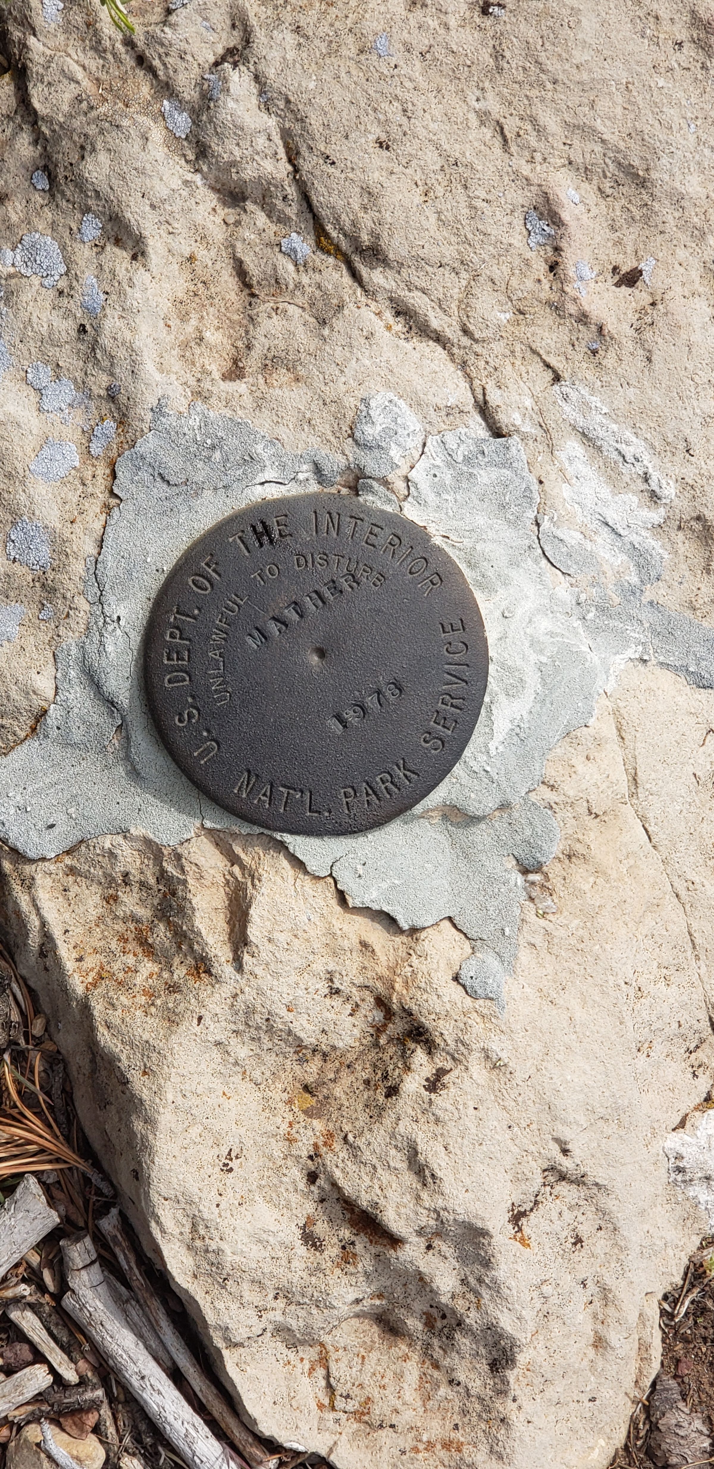 So that what they look like.