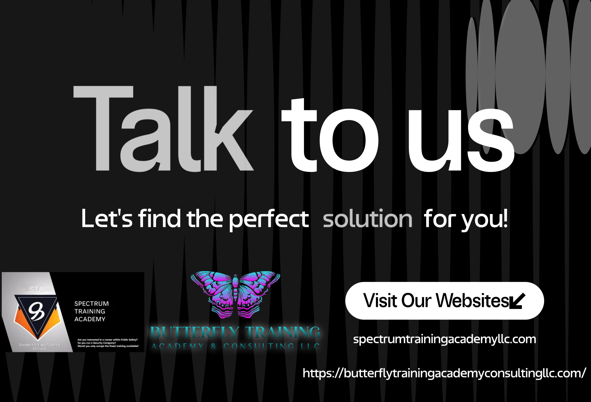 Butterfly Training Academy & Consulting LLC's image