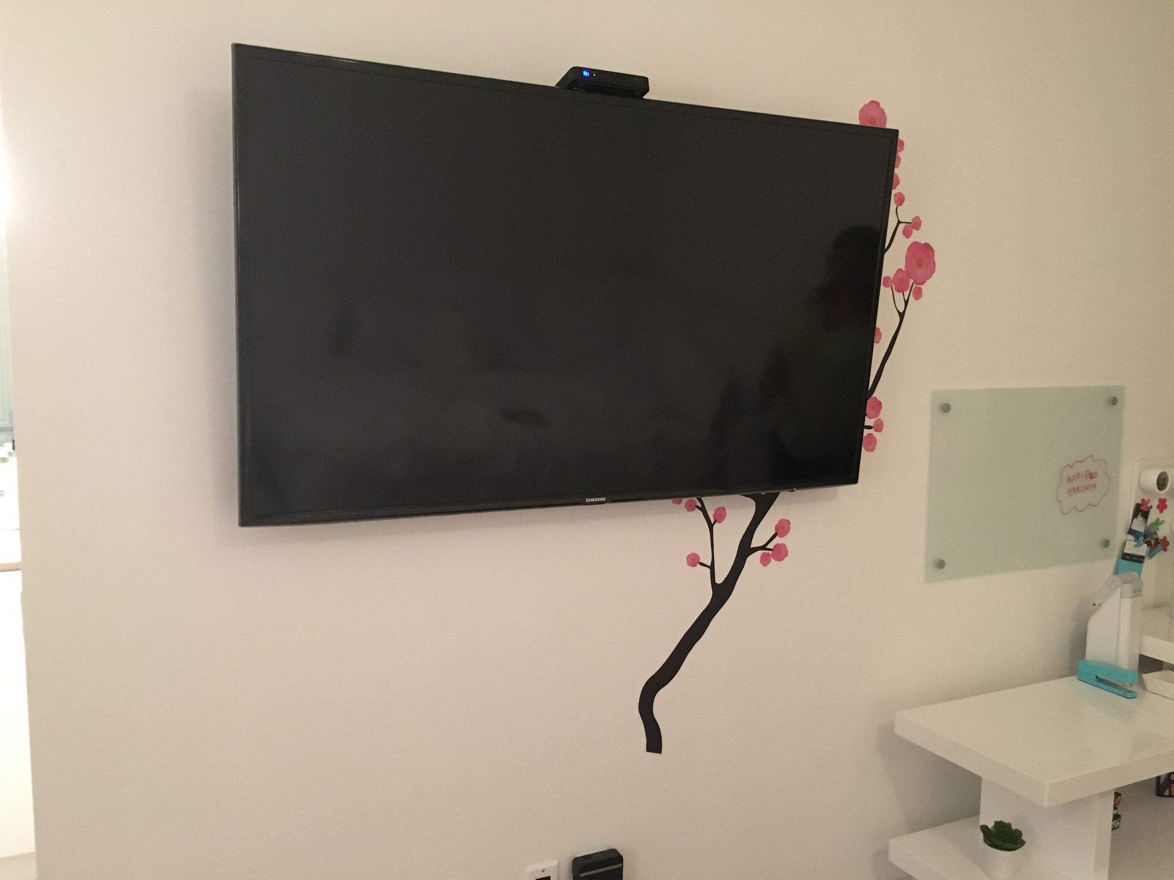 55-inch TV Mounting Redlands FL