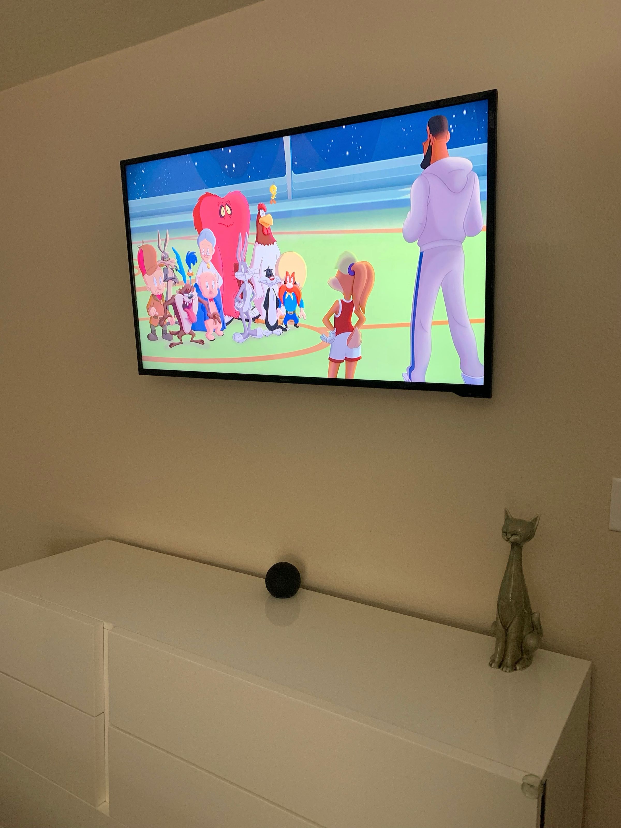 Wall mounted tv in Homestead FL