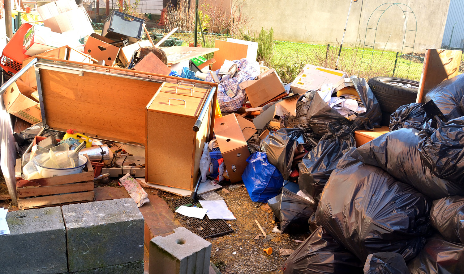 CleanUp・Worszeck's image