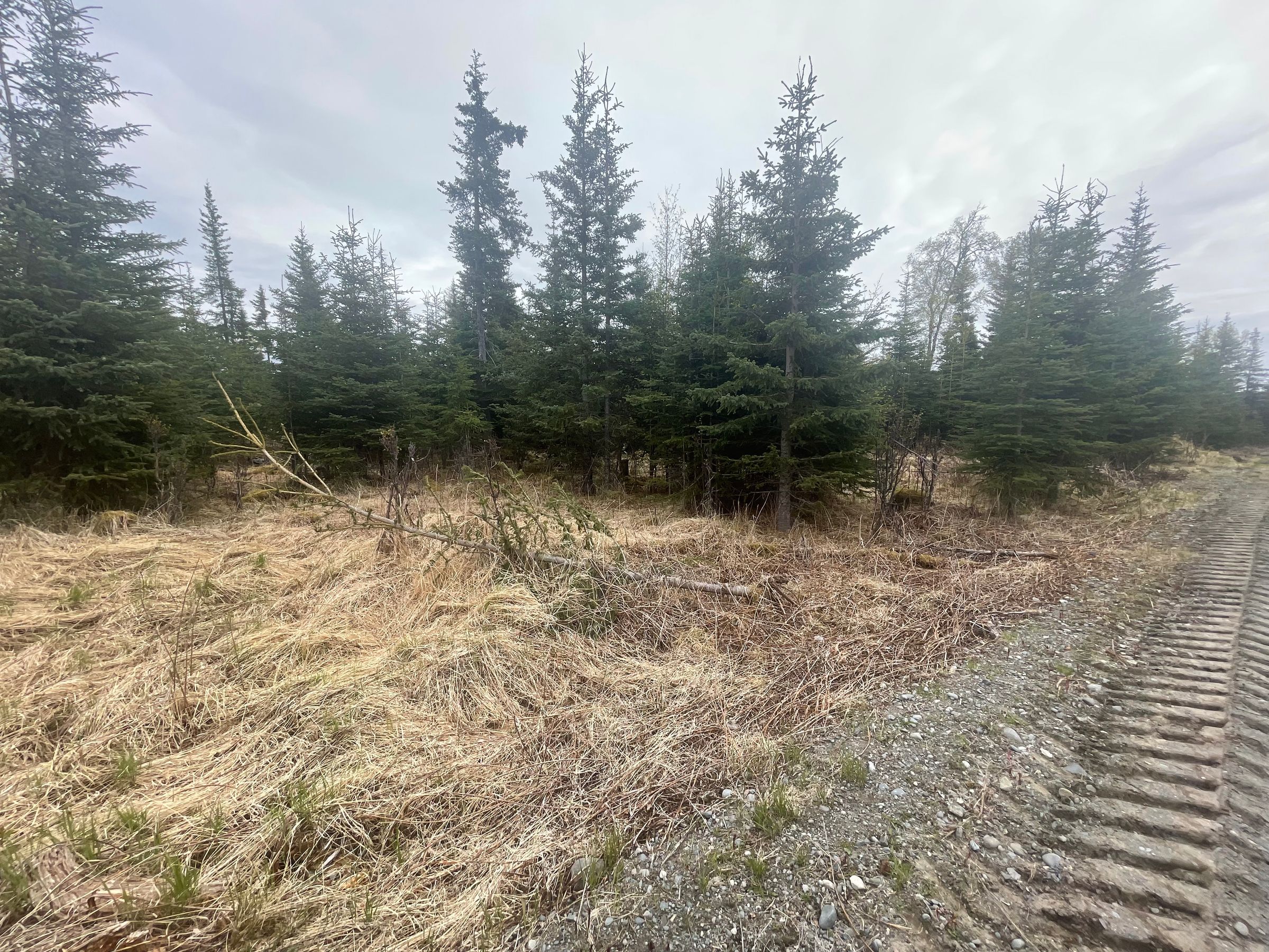 Mountain High Investments's image