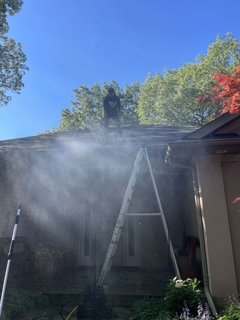 VVS Exterior Cleaning Services's image