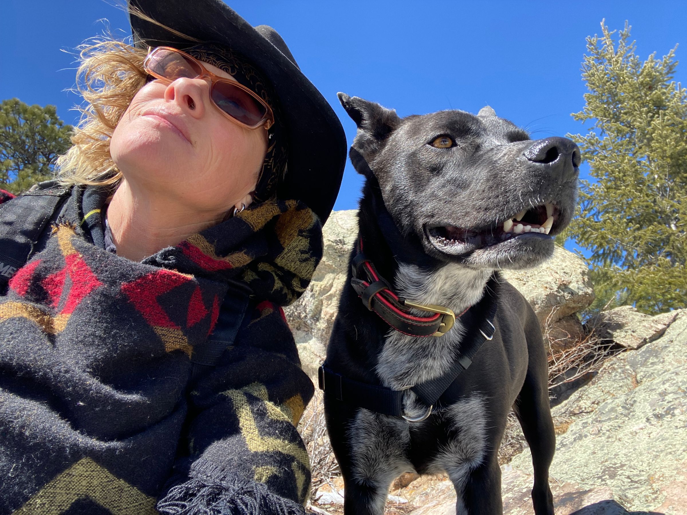 Dynamic Duo Pet Sitting's image