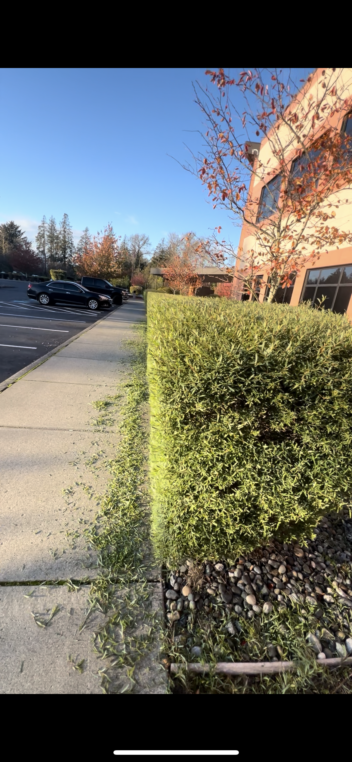 standout projects's image