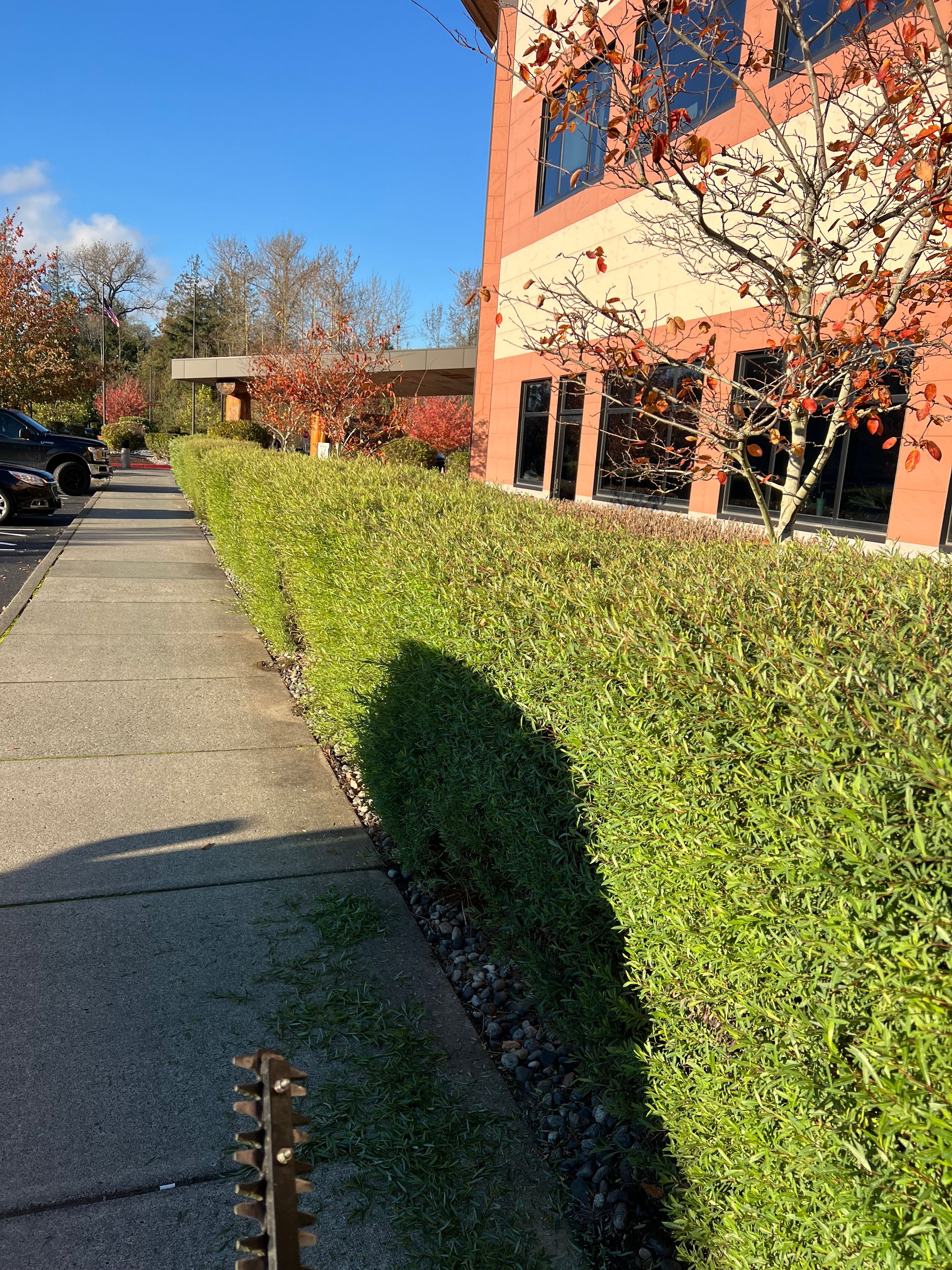 standout projects's image