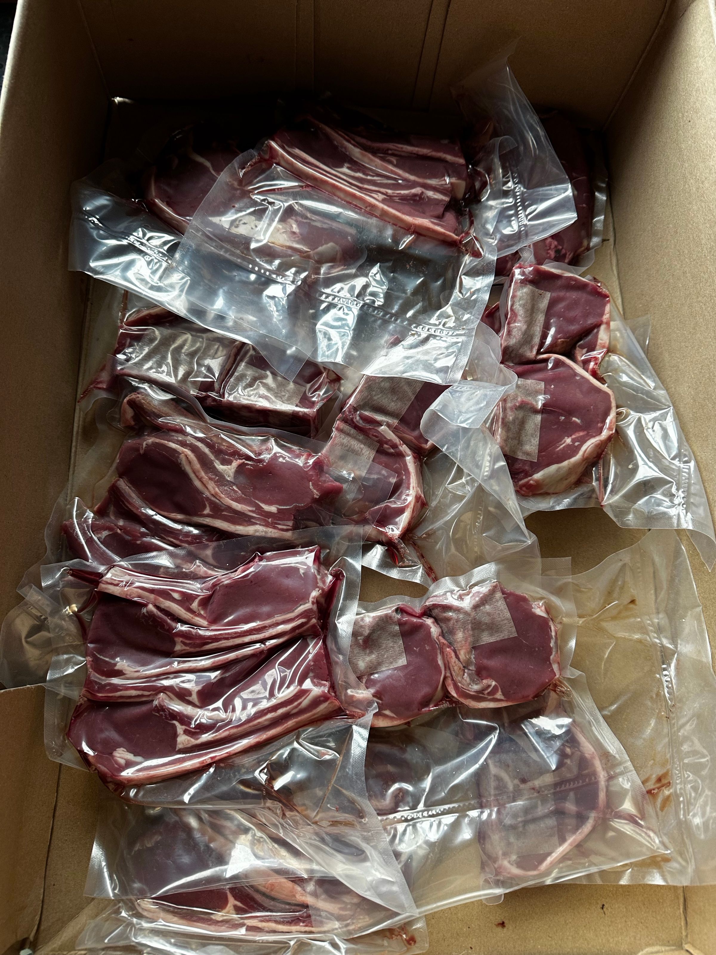 Wildlife Solutions Deer Management's image