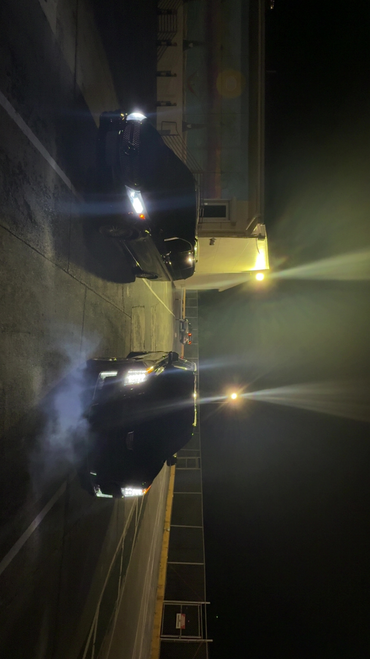 Platinum limousine's image