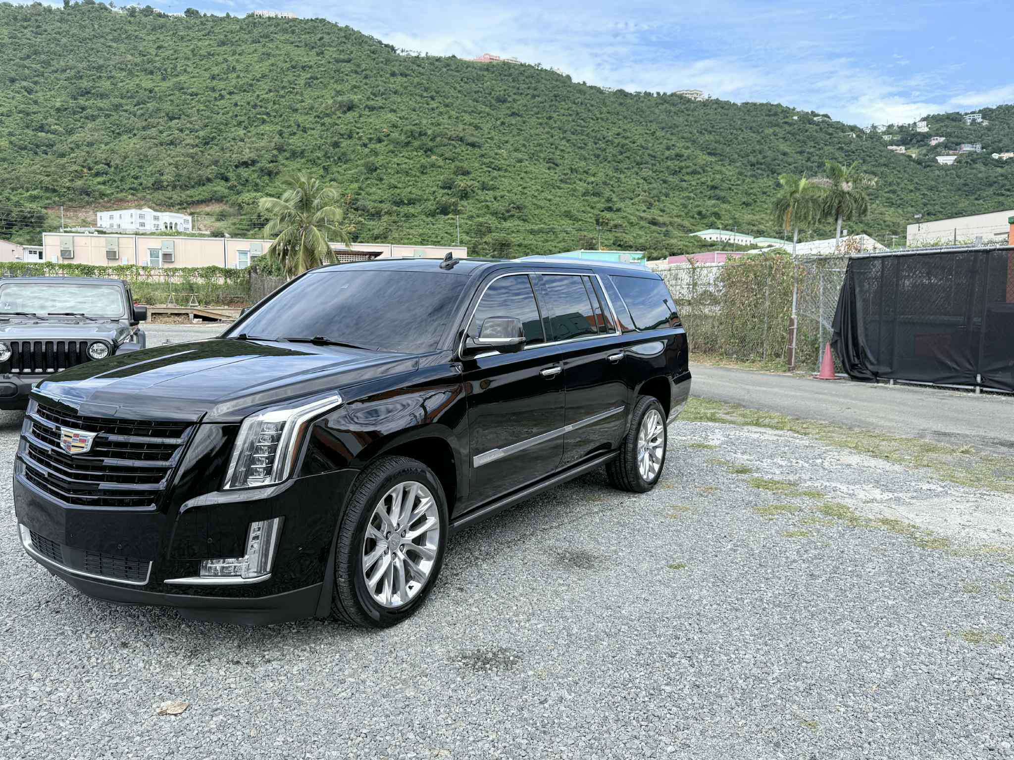 Platinum limousine's image