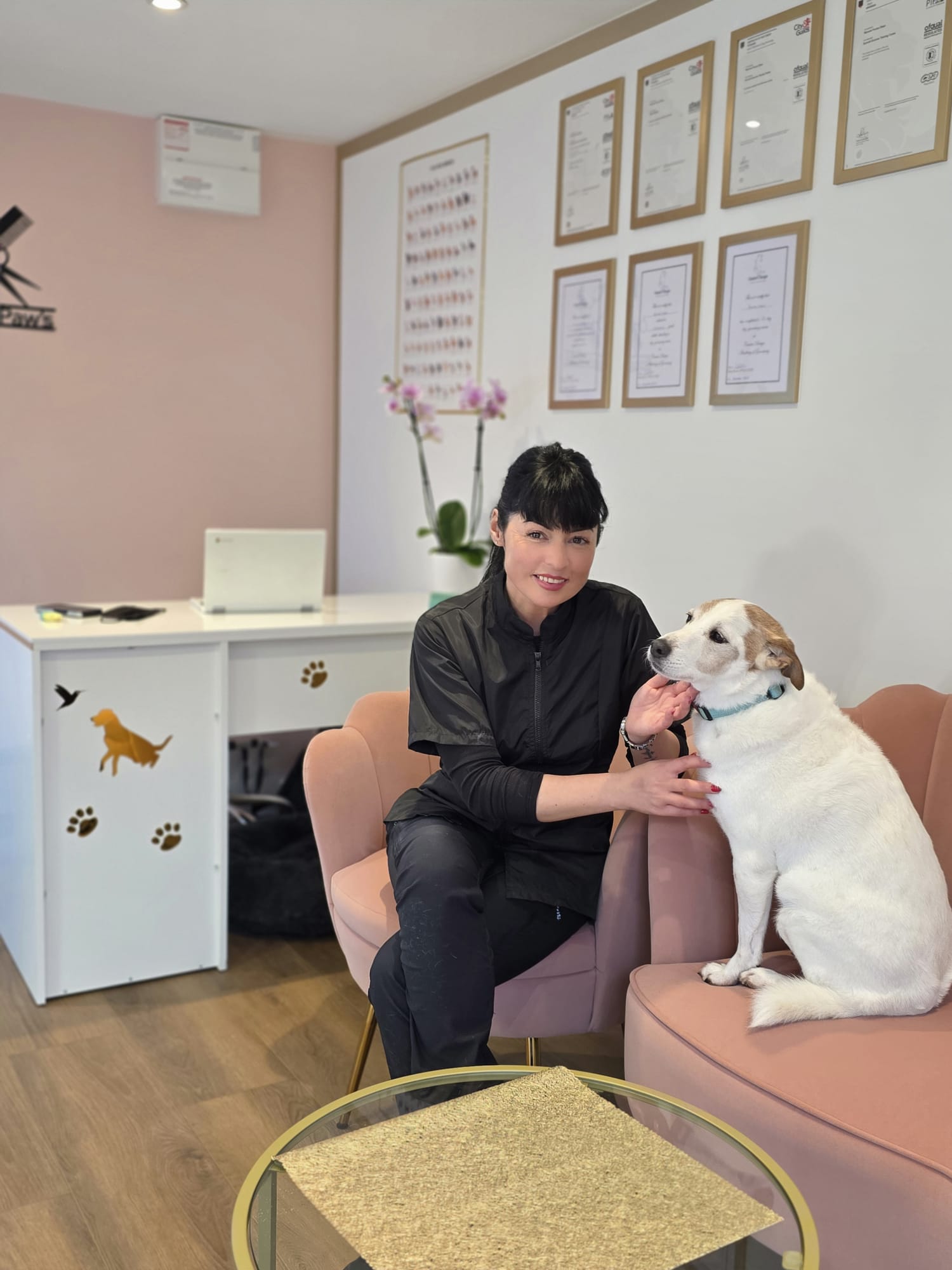 Groomzy Paws Dog Grooming | Taunton's image