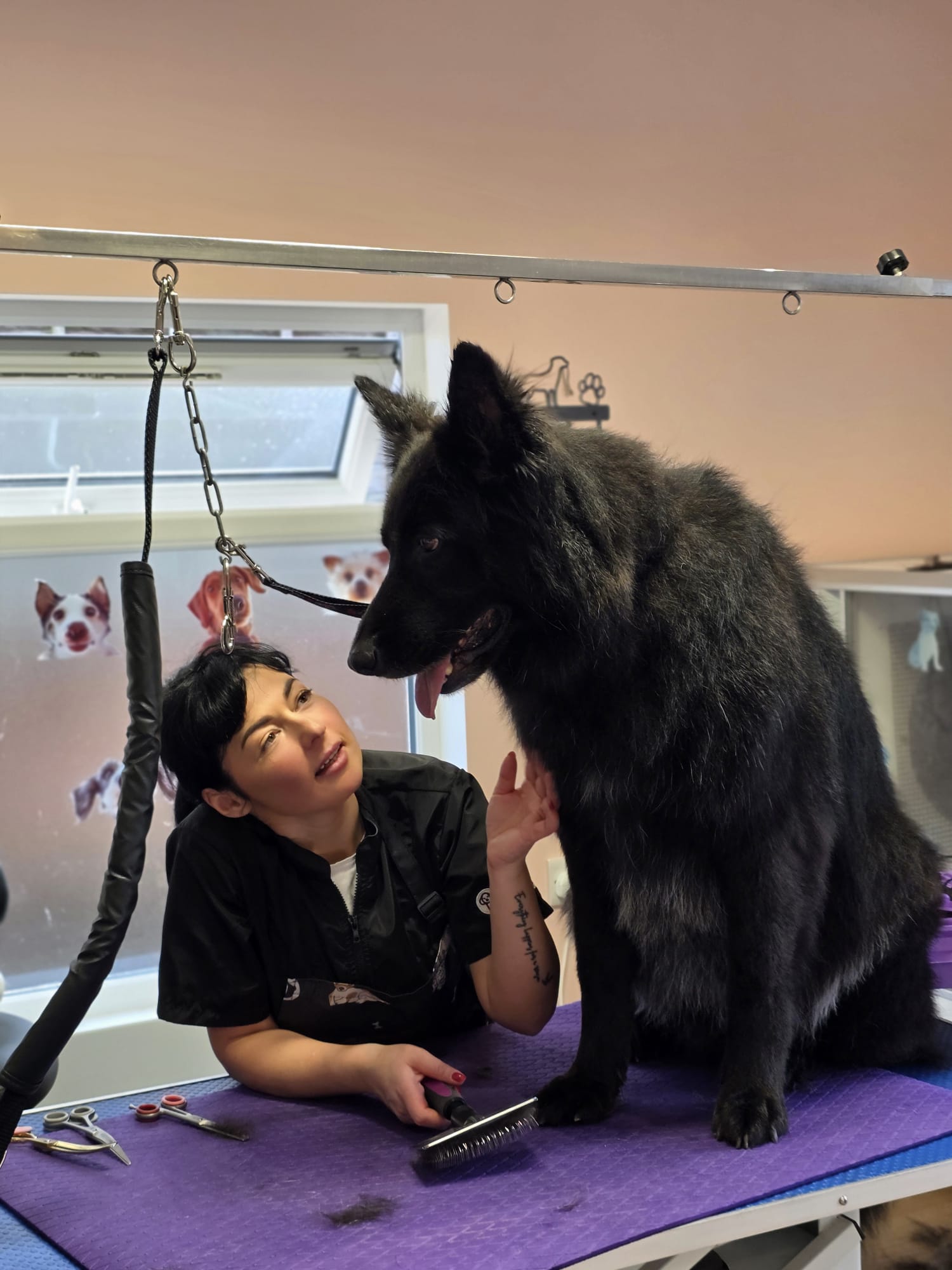 Groomzy Paws Dog Grooming | Taunton's image