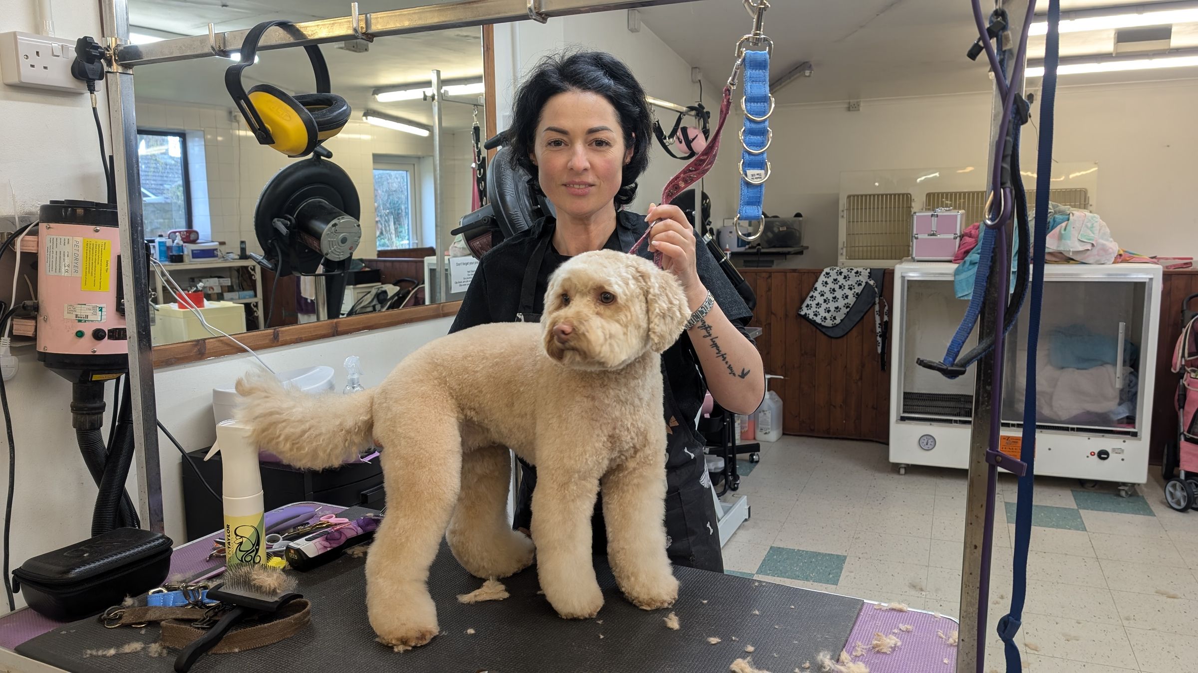 Groomzy Paws Dog Grooming | Taunton's image