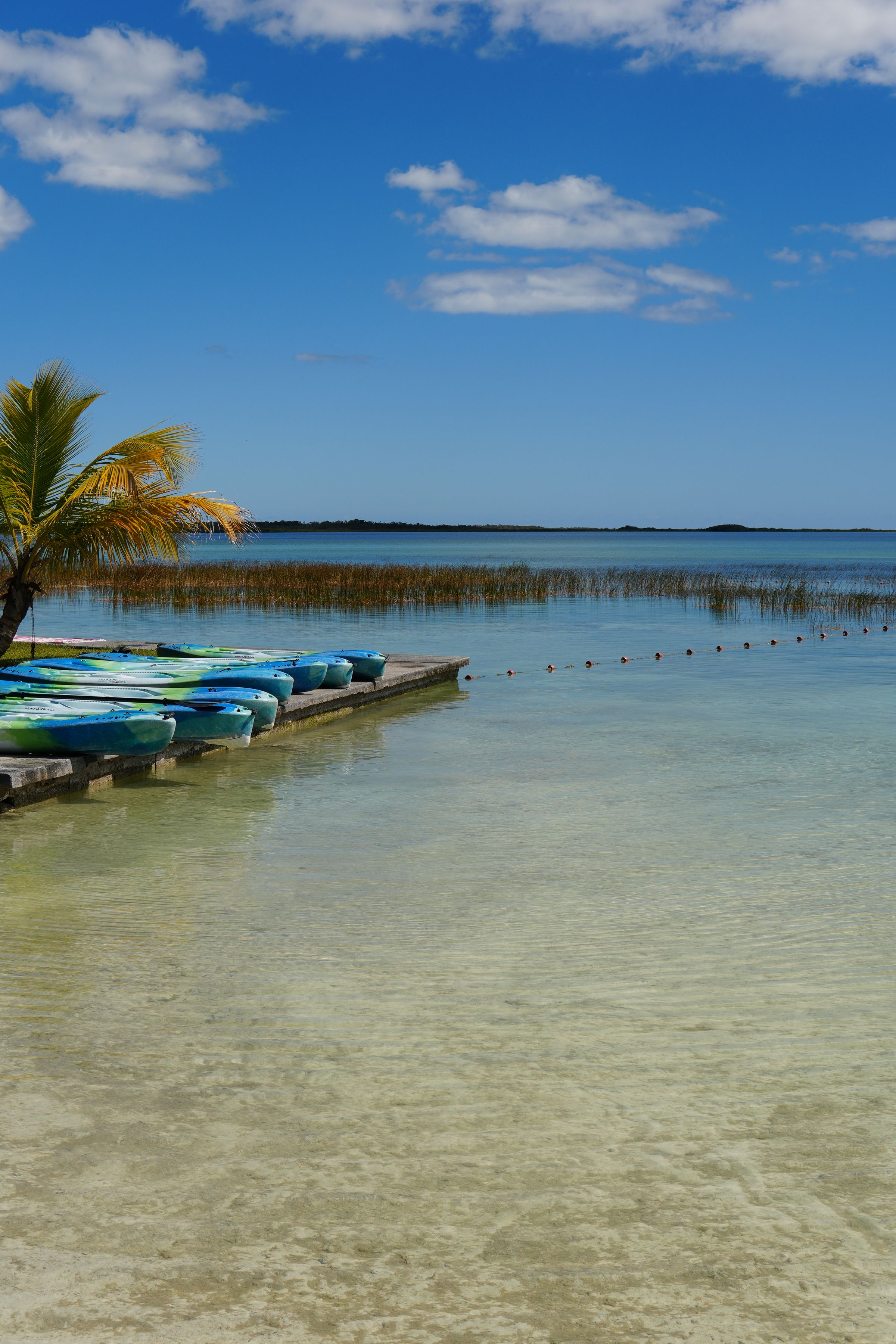 Milum Lake Club's image