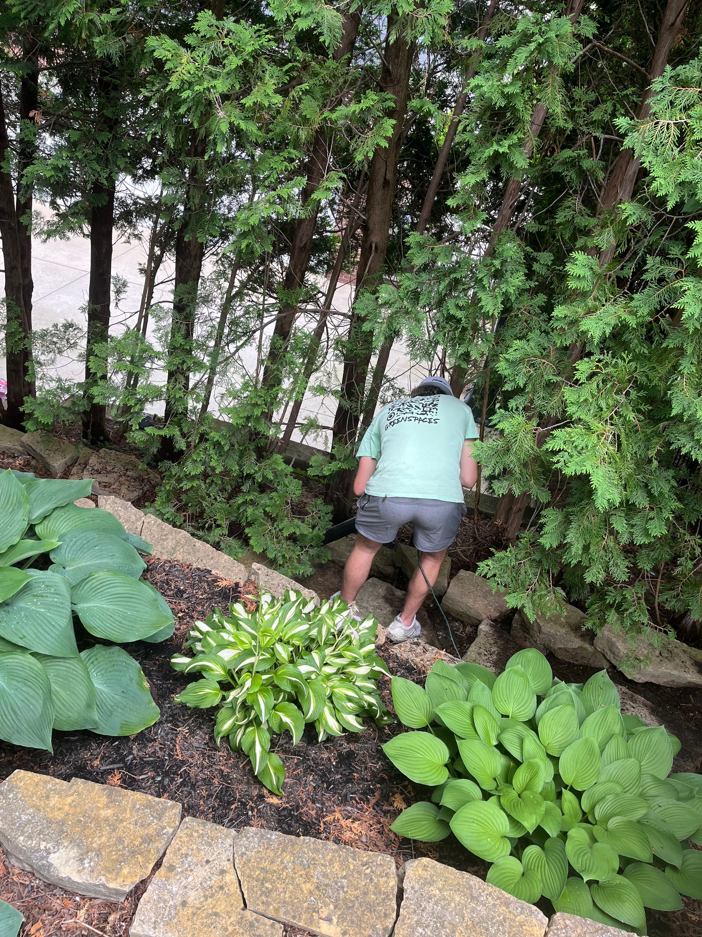 Greenspaces's image