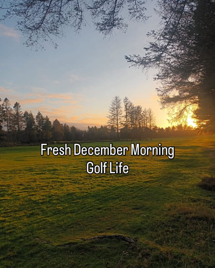 Ace Course Solutions's image