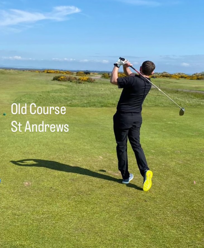 Ace Course Solutions's image