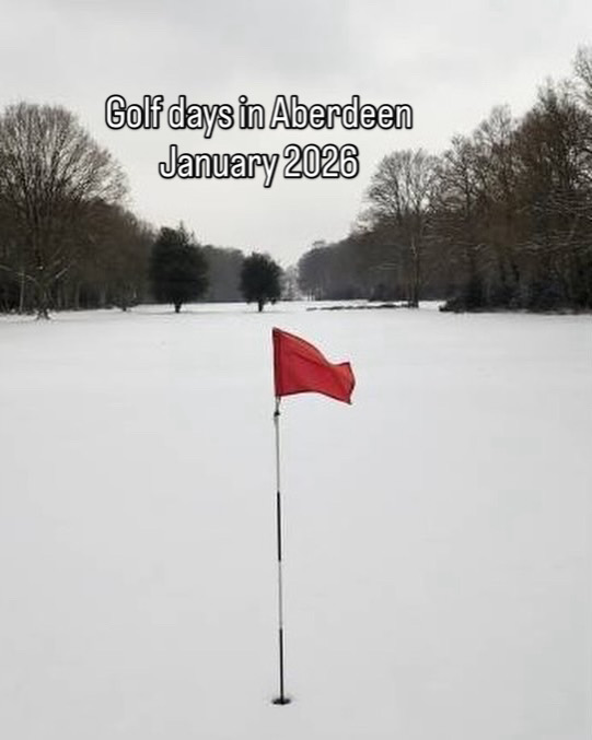 Ace Course Solutions's image