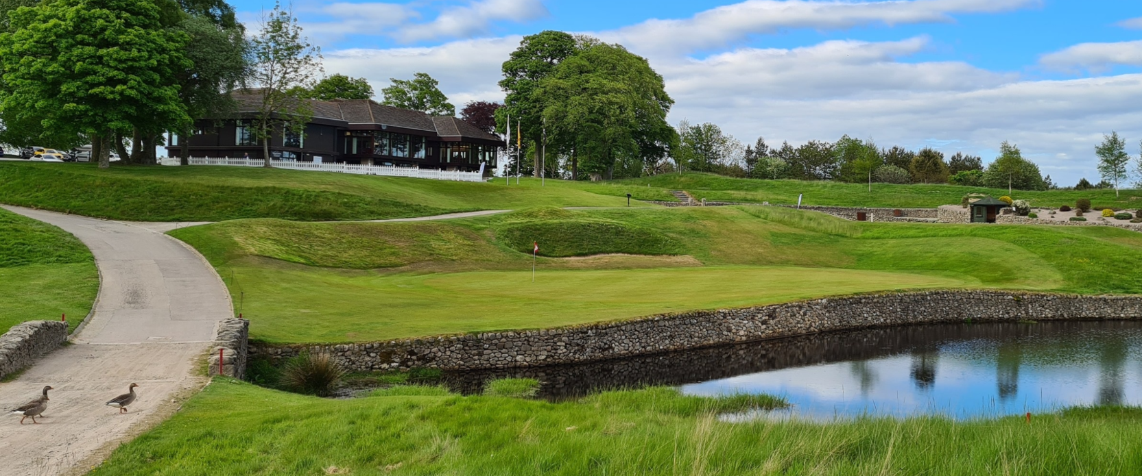 Ace Course Solutions's image