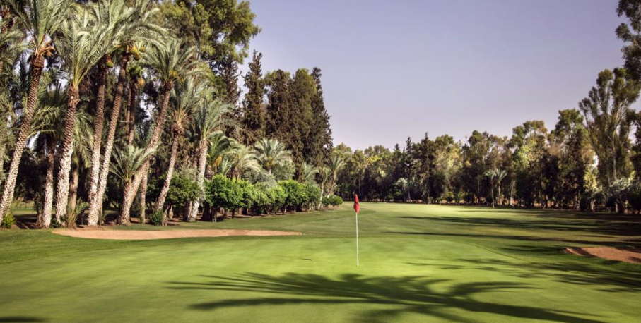 Ace Course Solutions's image