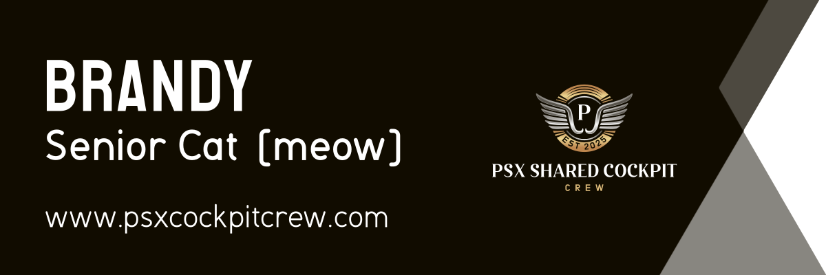 PSX Shared Cockpit Crew's image