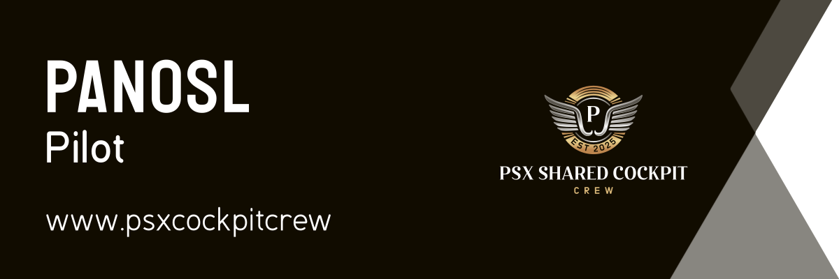 PSX Shared Cockpit Crew's image